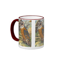 Vintage Barn Owl Painting mugs