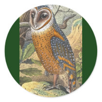 Vintage Barn Owl Painting stickers