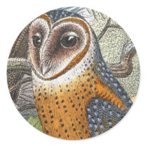 Vintage Barn Owl Painting stickers