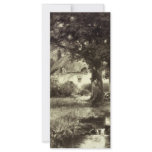 Vintage - Beautiful Landscape - Cottage & Stream rack cards