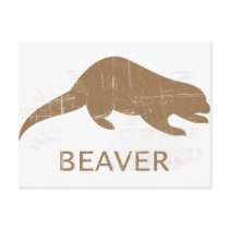 Vintage Beaver Postcard