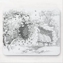 Vintage Bee Hives
