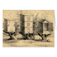 Vintage Beekeeping Beehives Beehive Greeting Card