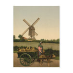 Vintage Belgian Milkmaid (Laitière Belge) postcards