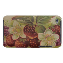Vintage Berries iPod Touch Cover