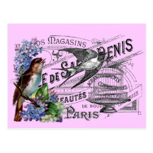 Vintage Bird Collage Post Card