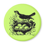 Vintage Bird Eggs & Nest magnets