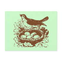 Vintage Bird Eggs & Nest