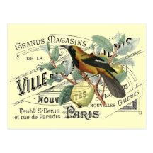 Vintage Bird in Fruit Tree Ephemera Collage Post Cards