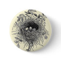 Vintage Bird Nest Illustration buttons