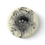 Vintage Bird Nest Illustration buttons
