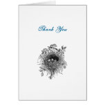 Vintage Bird Nest Illustration Greeting Card