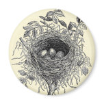 Vintage Bird Nest Illustration magnets