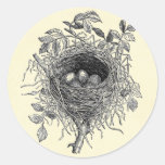 Vintage Bird Nest Illustration Round Stickers