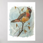 Vintage Bird Print