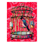 Vintage Birdcage Postcards