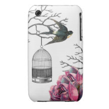 Vintage Birdcage Roses Swallow iPhone 3 Cases