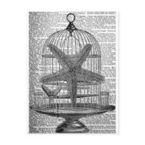 Vintage Birdcase and Starfish Postcard