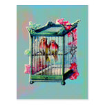 Vintage Birds and Bird Cage Postcards