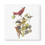 Vintage Birds On Berry Vine magnets
