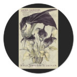 Vintage Black Calla Lilies stickers