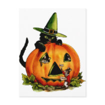 Vintage Black Cat and Pumpkin Postcard