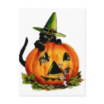 Vintage Black Cat and Pumpkin Postcard