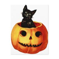 Vintage Black Cat and Pumpkin Postcard