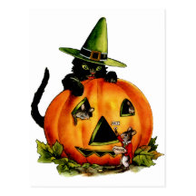 Vintage Black Cat and Pumpkin Postcard