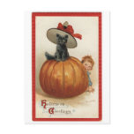 Vintage Black Cat with Witch Hat postcards
