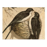 Vintage Black White Cute Love Birds Painting Post Cards