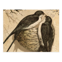 Vintage Black White Cute Love Birds Painting Post Cards