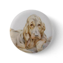 Vintage Bloodhounds by E J Detmold Pins