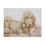Vintage Bloodhounds by E J Detmold postcards