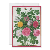 Vintage Blooming Flowers, Spring Garden Roses Announcements
