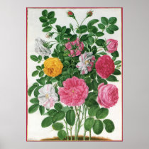 Vintage Blooming Flowers, Spring Garden Roses Print