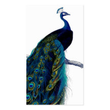 Vintage Blue Elegant Colourful Peacock Business Card Template