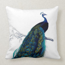 Vintage Blue Elegant Colourful Peacock Pillow