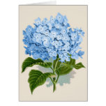 Vintage Blue Hydrangea Greeting Card