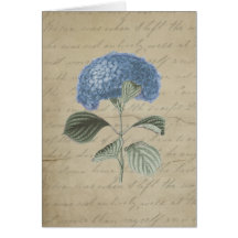 Vintage Blue Hydrangea with Antique Calligraphy Greeting Card