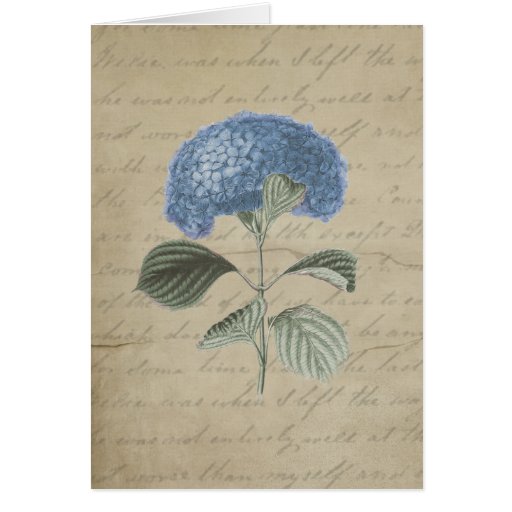 Vintage Blue Hydrangea with Antique Calligraphy Greeting Card