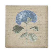 Vintage Blue Hydrangea with Antique Calligraphy Magnets