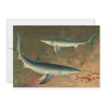 Vintage Blue Sharks Custom Announcement