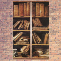 Vintage Book shelves