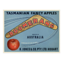 Vintage Boomerang apple postcard