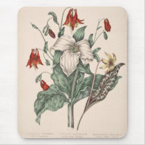 Vintage Botanical Art Mousepads