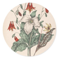 Vintage Botanical Art Stickers