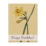 Vintage Botanical Daffodil Happy Birthday Postcard