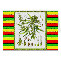 Vintage Botanical Illustration, 1897 - A weed Greeting Cards