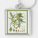 Vintage Botanical Illustration, 1897 - A weed Keychain